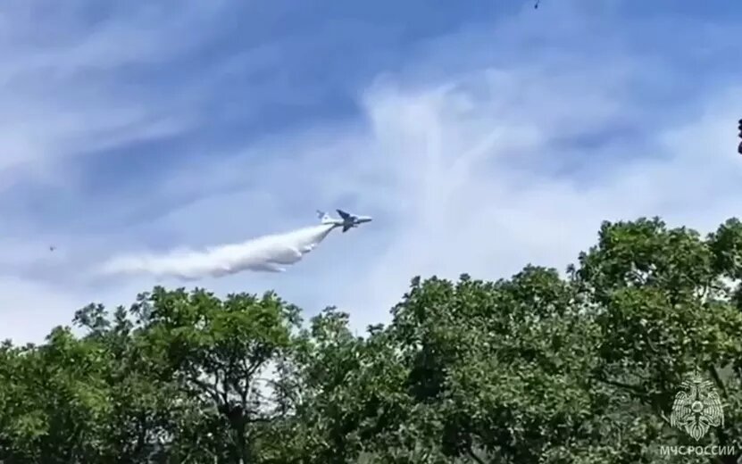    Житель Ижевска мог стать виновником крупного пожара в заказнике под Новороссийском