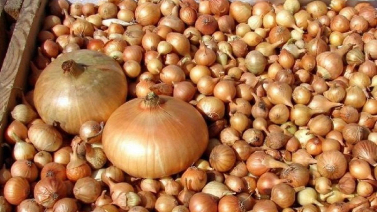 Яндекс.Картинки