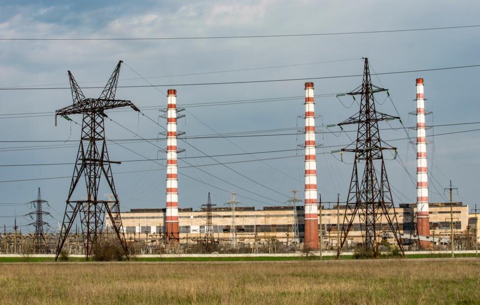 © kakteen/ Shutterstock/ FOTODOM