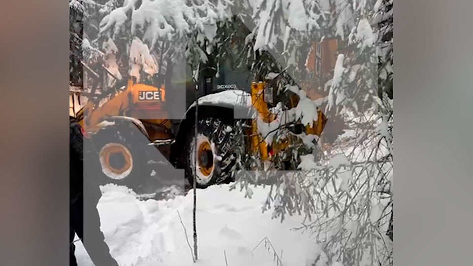 Фото: Скриншот видео 