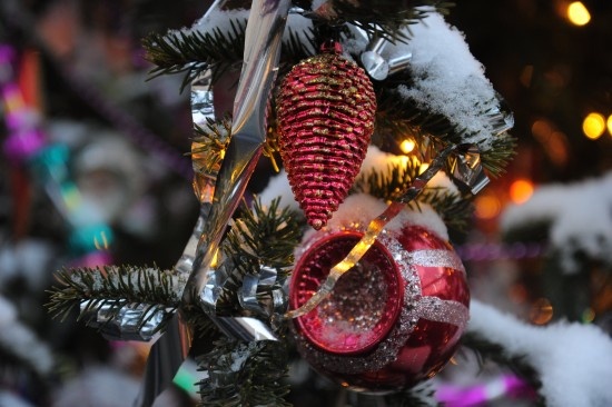    Фото: Олег Серебрянский