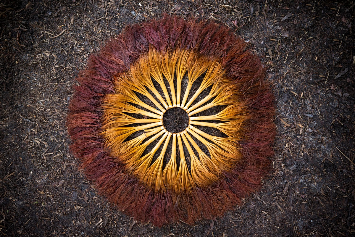 Lion's Mane (с) morningaltars.com