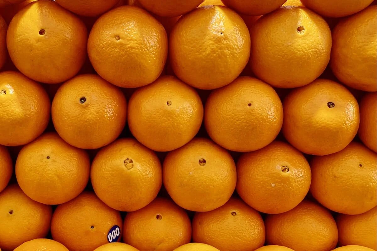 Фото: SterlitamakTime.ru