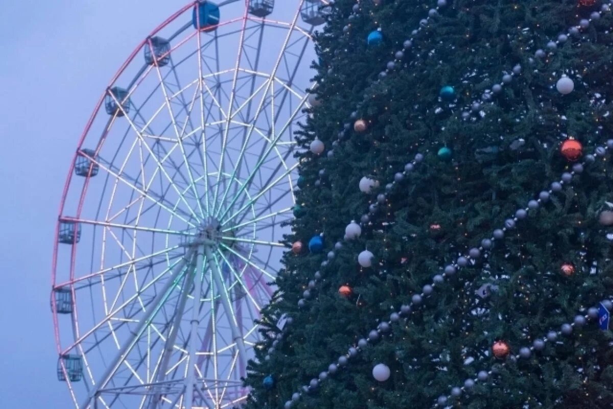    Волгоградцев приглашают завершить год фестивалем «Добро-елка»