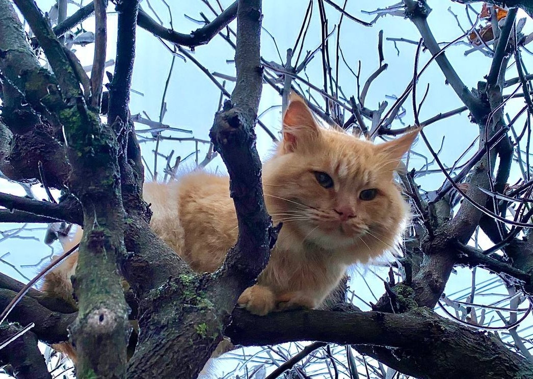   ГТРК "Ставрополье"