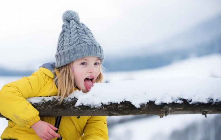 источник pchela.news