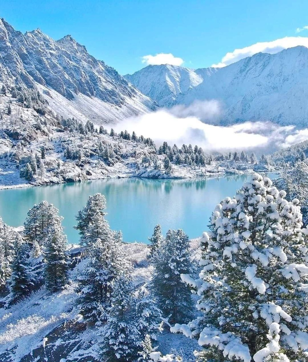 фото с Яндекс