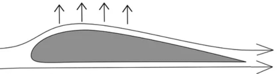 Верхняя часть имеет большую длину чем нижняя, что и приводит к разнице давлений". 
