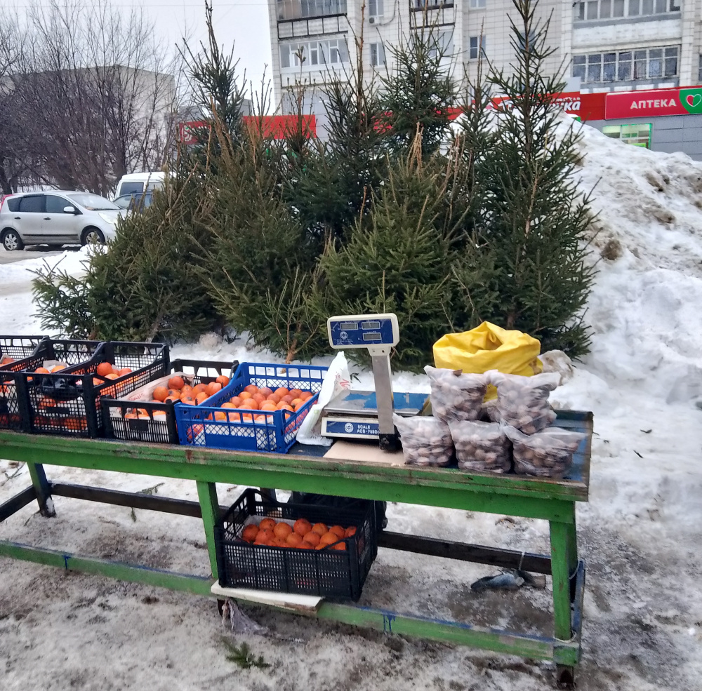    grad.kostroma.gov.ru