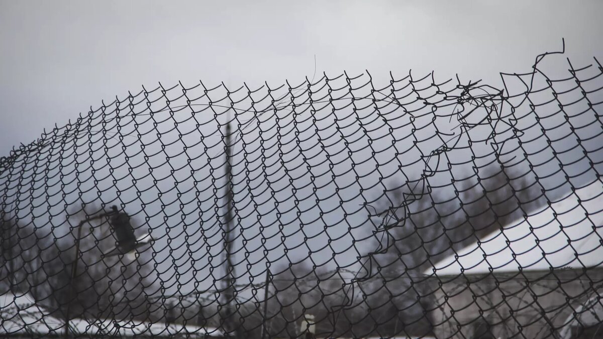     Источник: 1MI