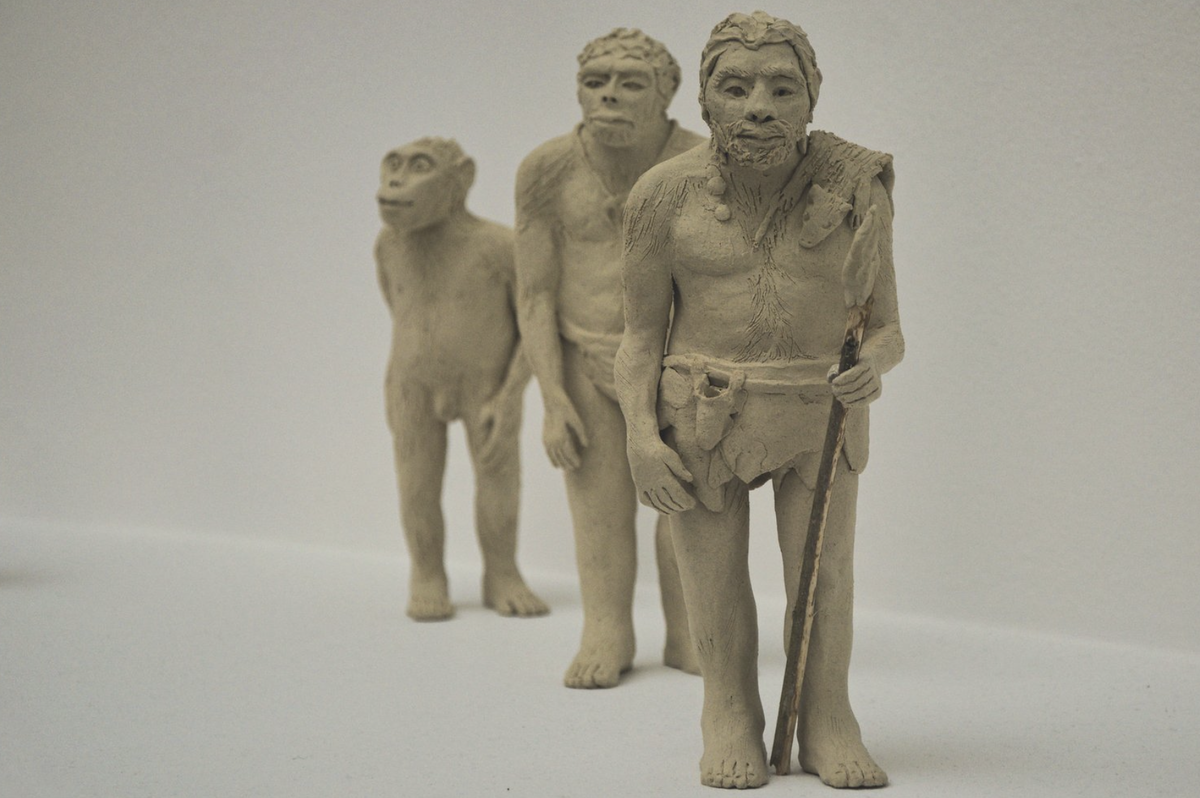 В принципе эта теория совпадает с общей тенденцией развития современного человека: возникновение одежды послужило важным фактором, обусловившим успешную первую волну миграции людей современной анатомии из Африки на Ближний Восток где-то 120–130 тысяч лет, и далее в Азию, Австралию, Сибирь и Европу в последующие тысячелетия. Более суровые климатические условия потребовали от наших предков изобретательности в плане внешнего вида и развития более утонченных охотничьих стратегий и навыков.
