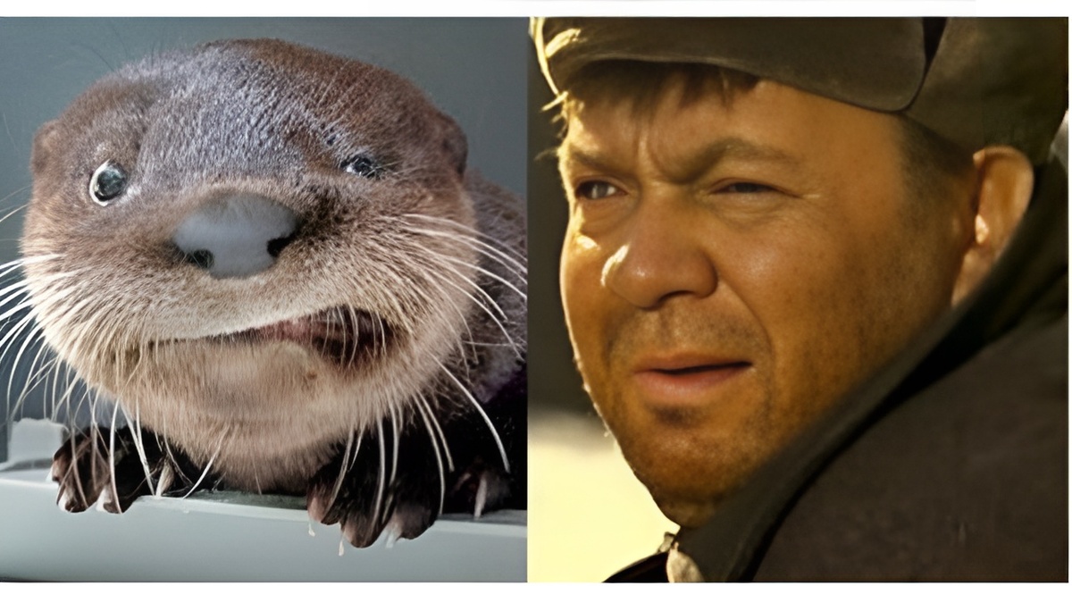  "Я Доцент! А ну ныряй, не то пасть порву, моргалы выколю."