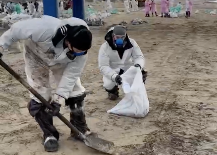    оперативный штаб Краснодарского края