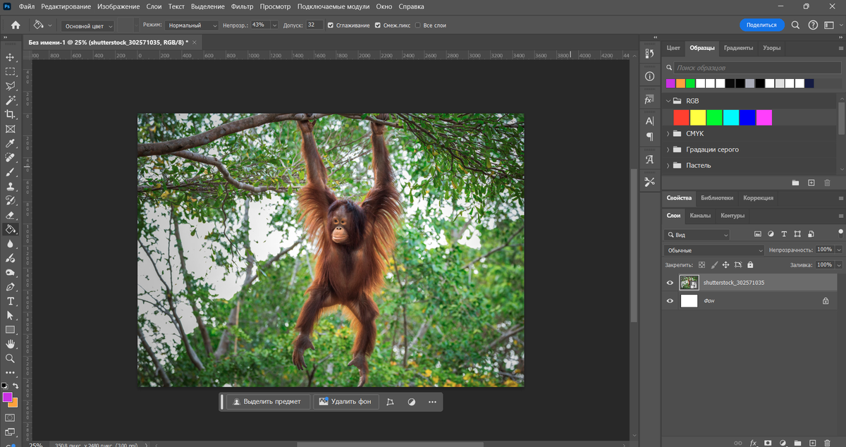 "Открытие изображения в Adobe Photoshop."