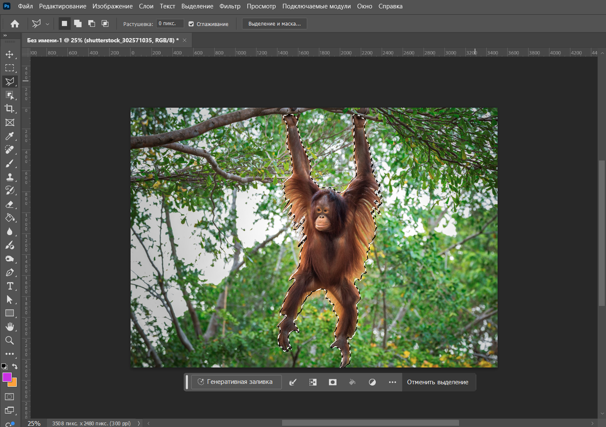 "Выбор объекта с помощью инструмента 'Быстрое выделение'."