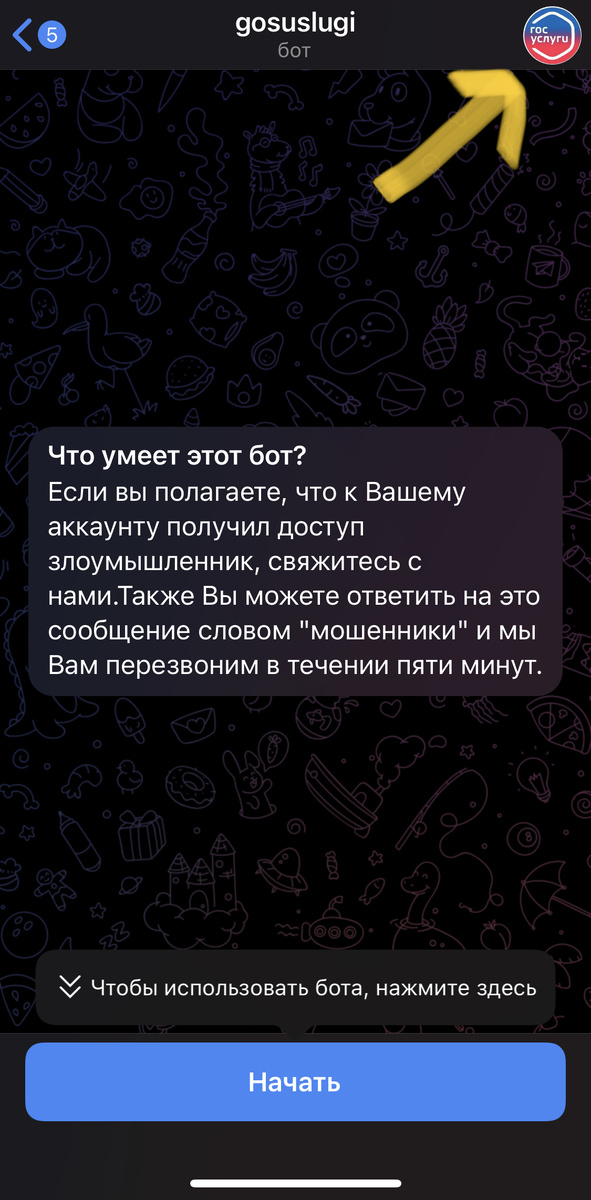 Стартовое окно