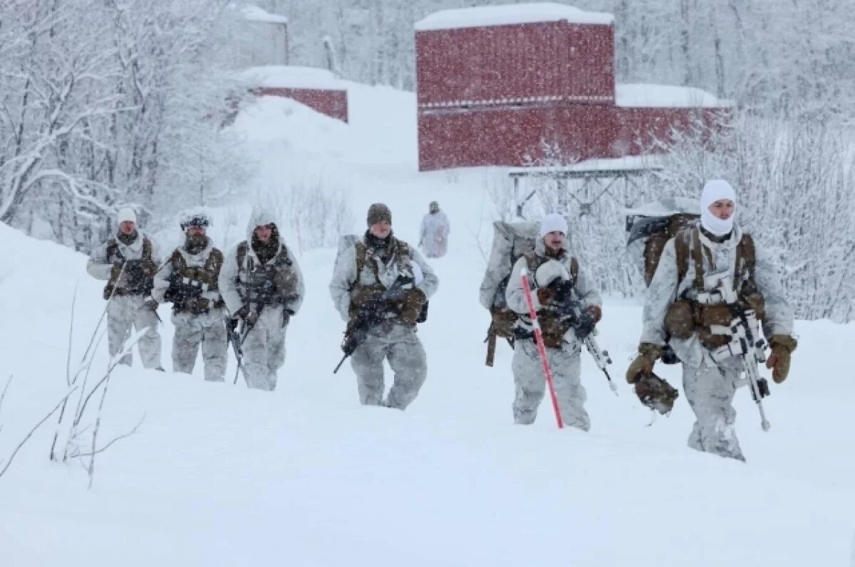    Independent: Финляндия за неделю может мобилизовать 280 тысяч военных