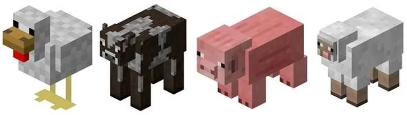 Курица, корова, свинья и овца