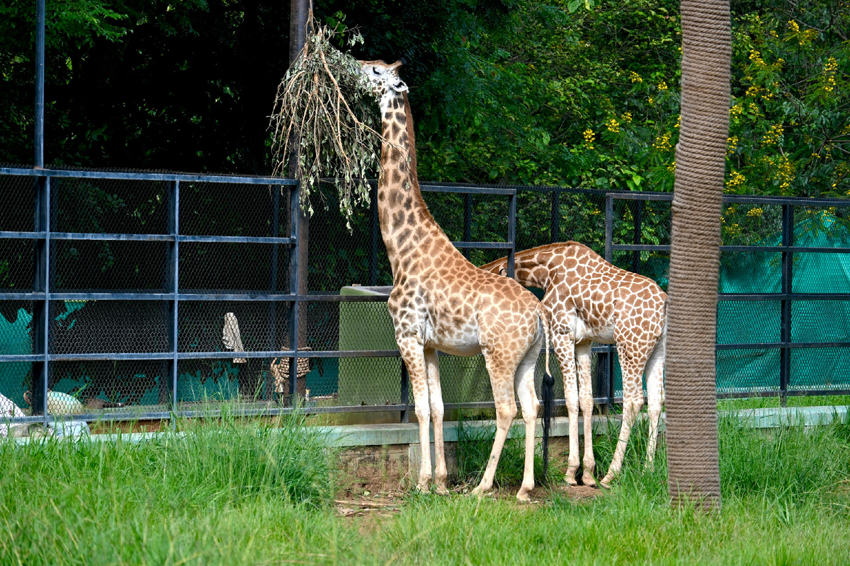 Картинка с бесплатного фотостока https://unsplash.com, автор Demure Storyteller