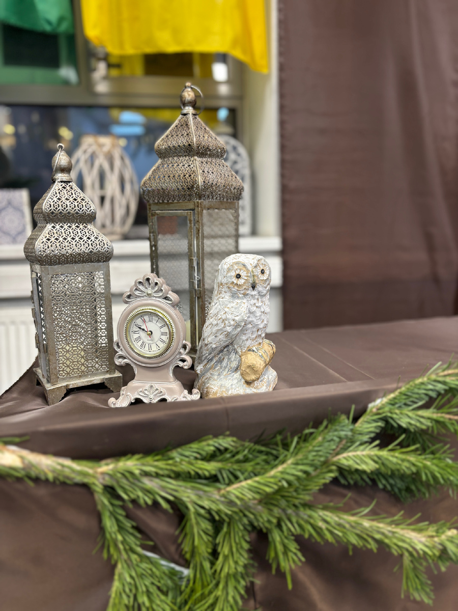 Фото автора. Сначала, когда я представляю все, что надо сказать за 8 минут, глаза у меня - как у совы на фото )))