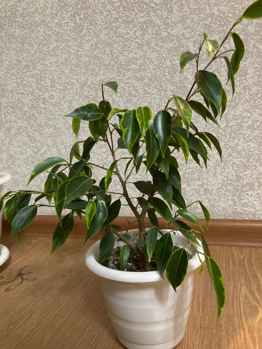 (фото из архива автора)