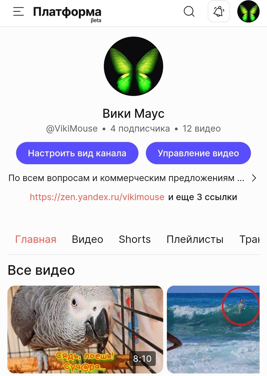 Вот так выглядит мой канал на Платформе, пожалуйста добавляйтесь в подписчики. Пока на нём всего 4 подписчика, но здесь главное - начать... 😉
