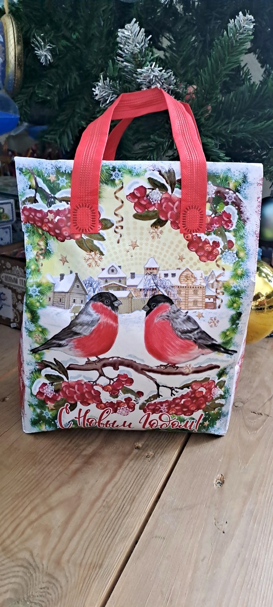 Плотный пакет с ручками и яркой картинкой (фото автора)