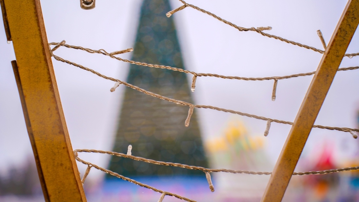 Светлана Мулыкина📷
