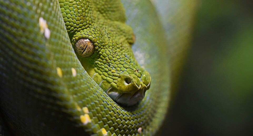    David Clode / Unsplash