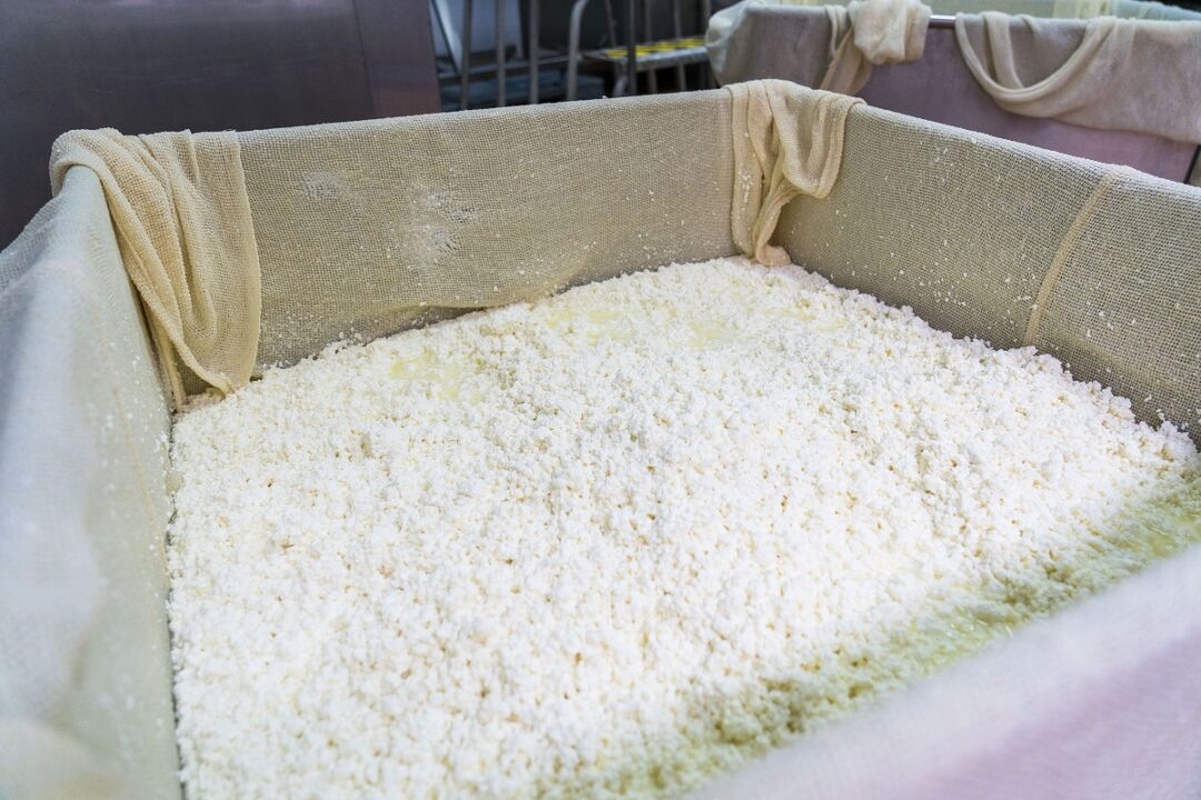 Фото: Александр Плонский / «Агроэксперт»