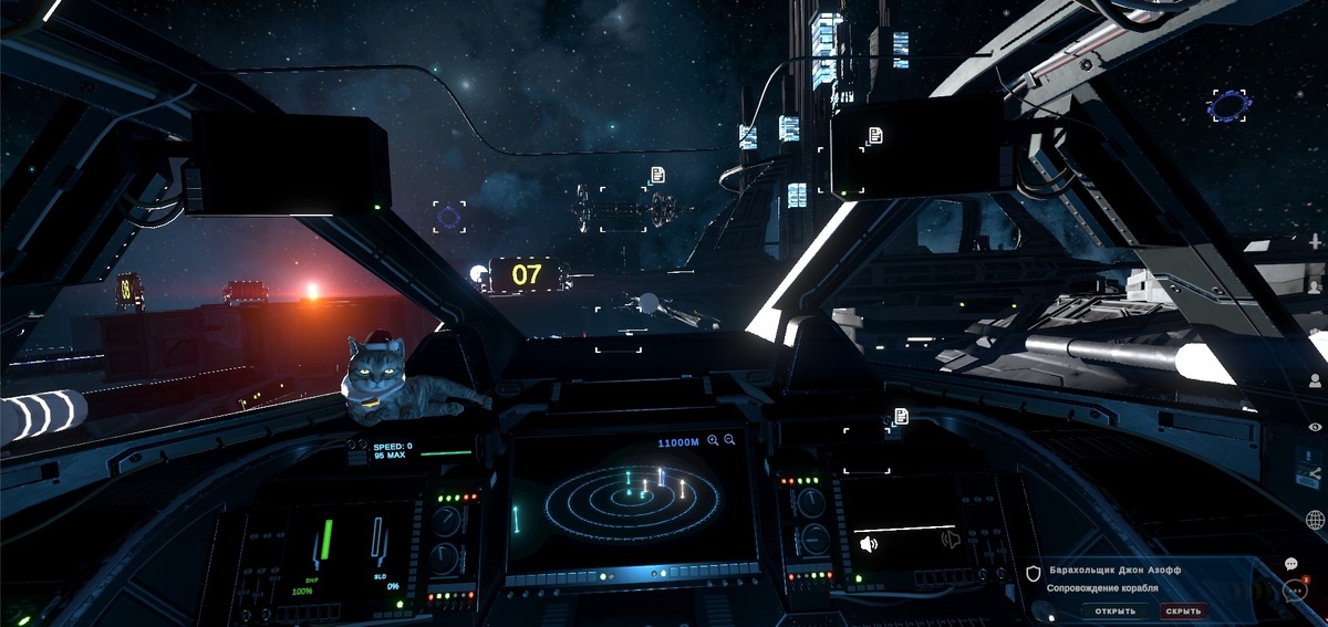 В кабине пилота может жить котик