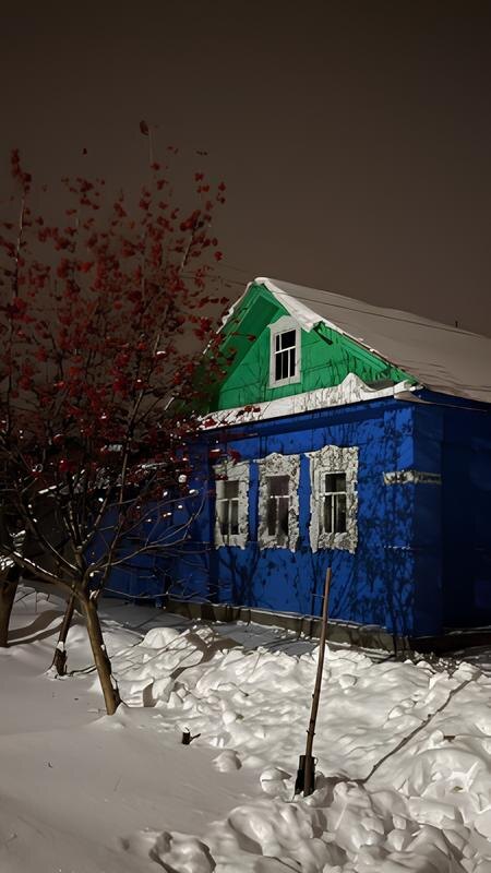 Зимний дом.