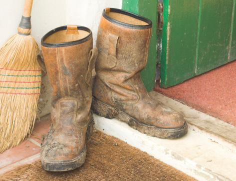 фото из интернета