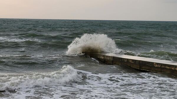    © РИА Новости Крым