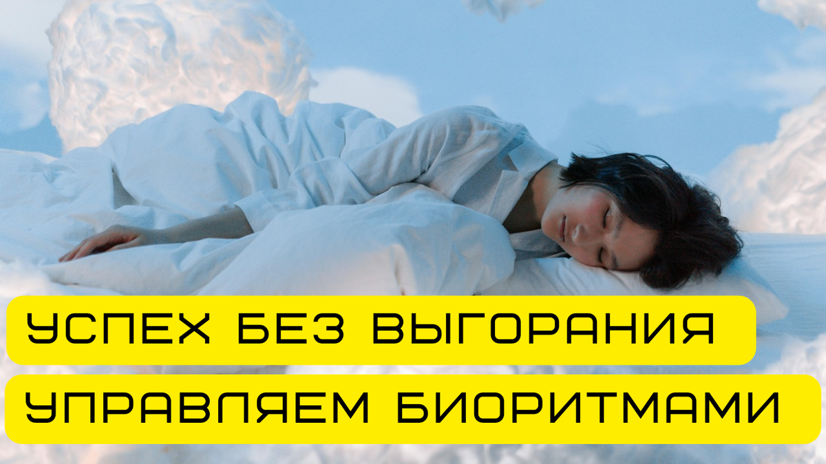 Биоритмы и продуктивность. Как выбрать лучшее время для действий? 