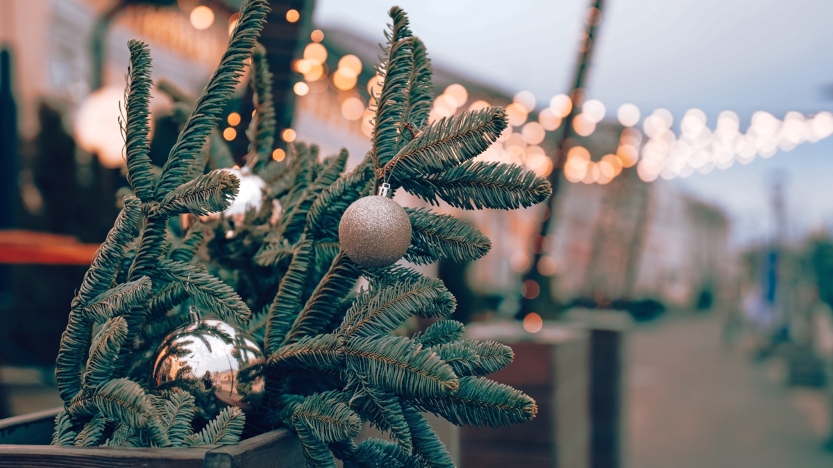 Светлана Мулыкина📷
