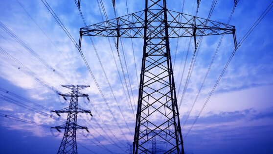    МИД РФ: Россия начала поставки электроэнергии в Абхазию по просьбе врио президента страны Богдан Герцен