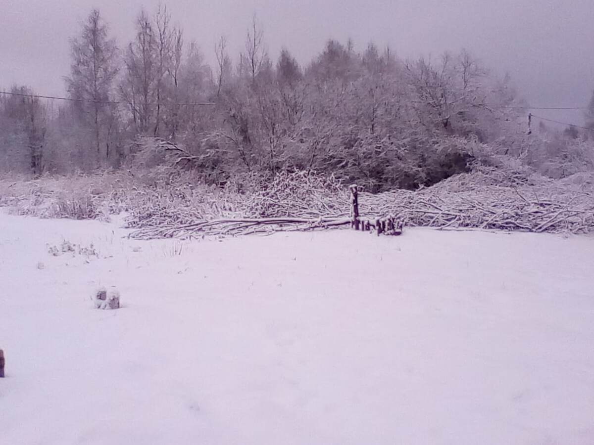 Обалдела сегодня утром от живописной красоты.