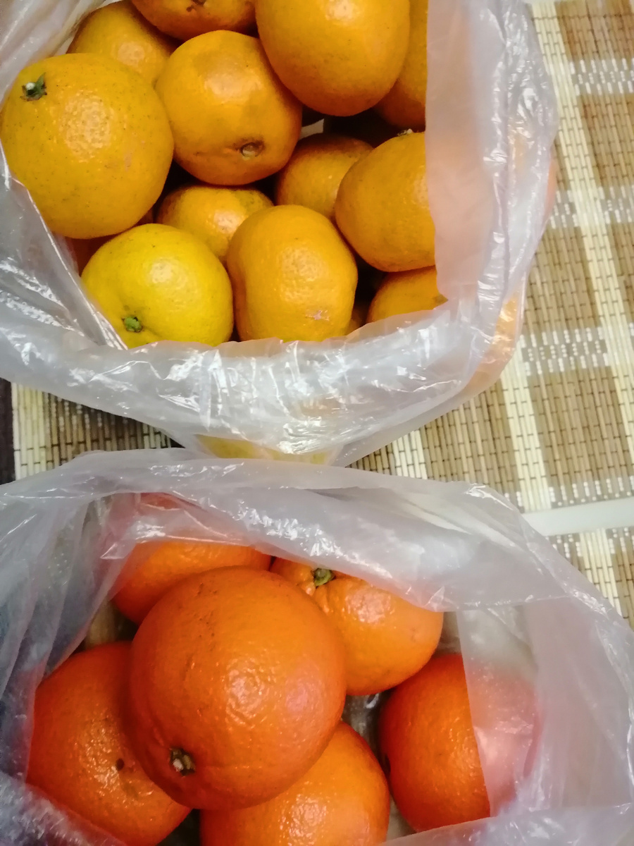 Мандарины и апельсины.