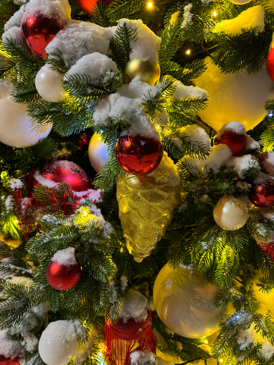 #AstrologyNelly #новыйгод #годзмеи #праздник