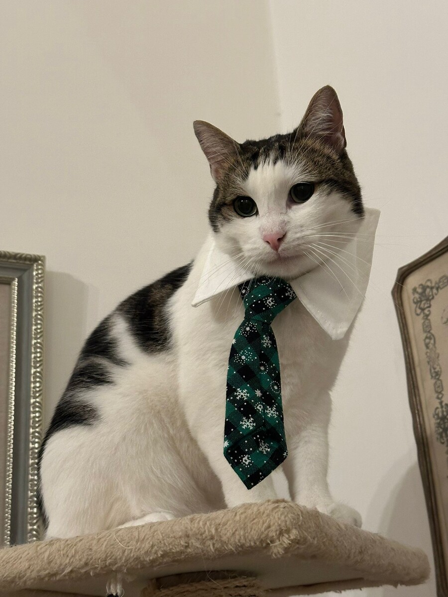 Листайте дальше. 