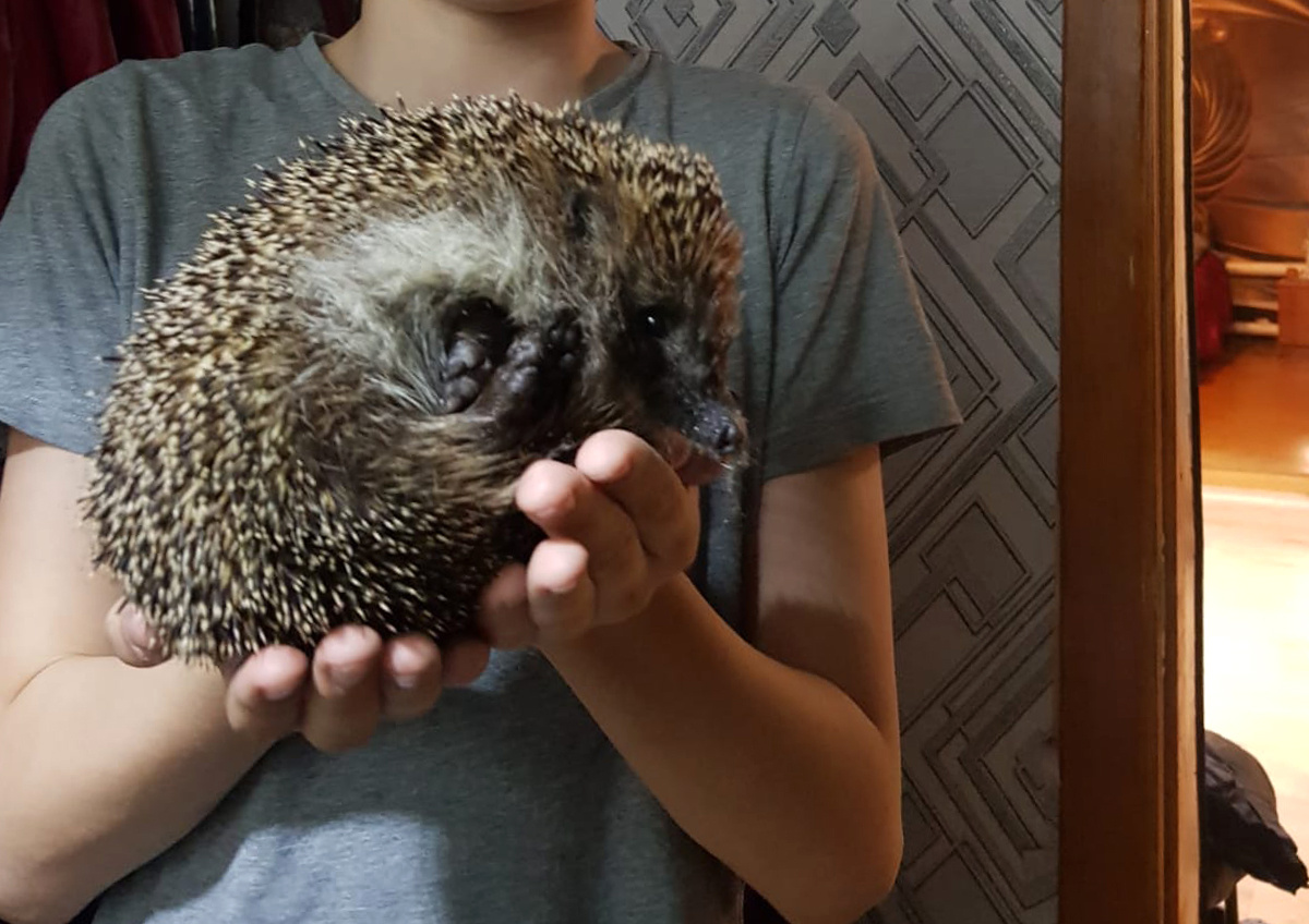 Фото © «Московская газета»