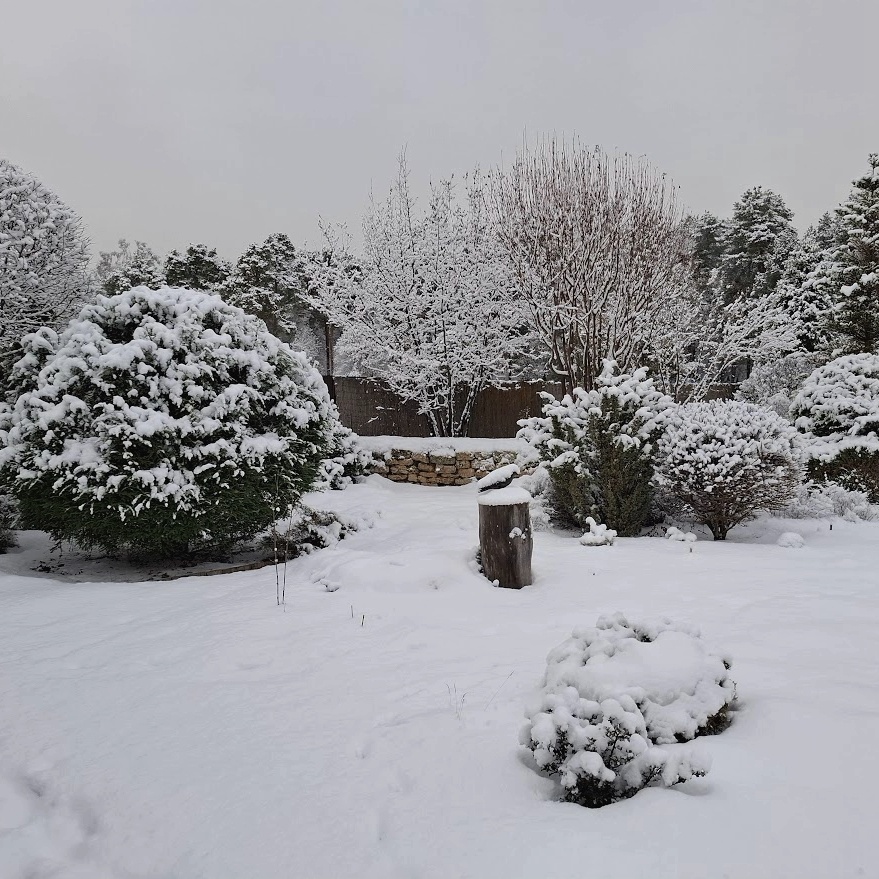 В саду сегодня