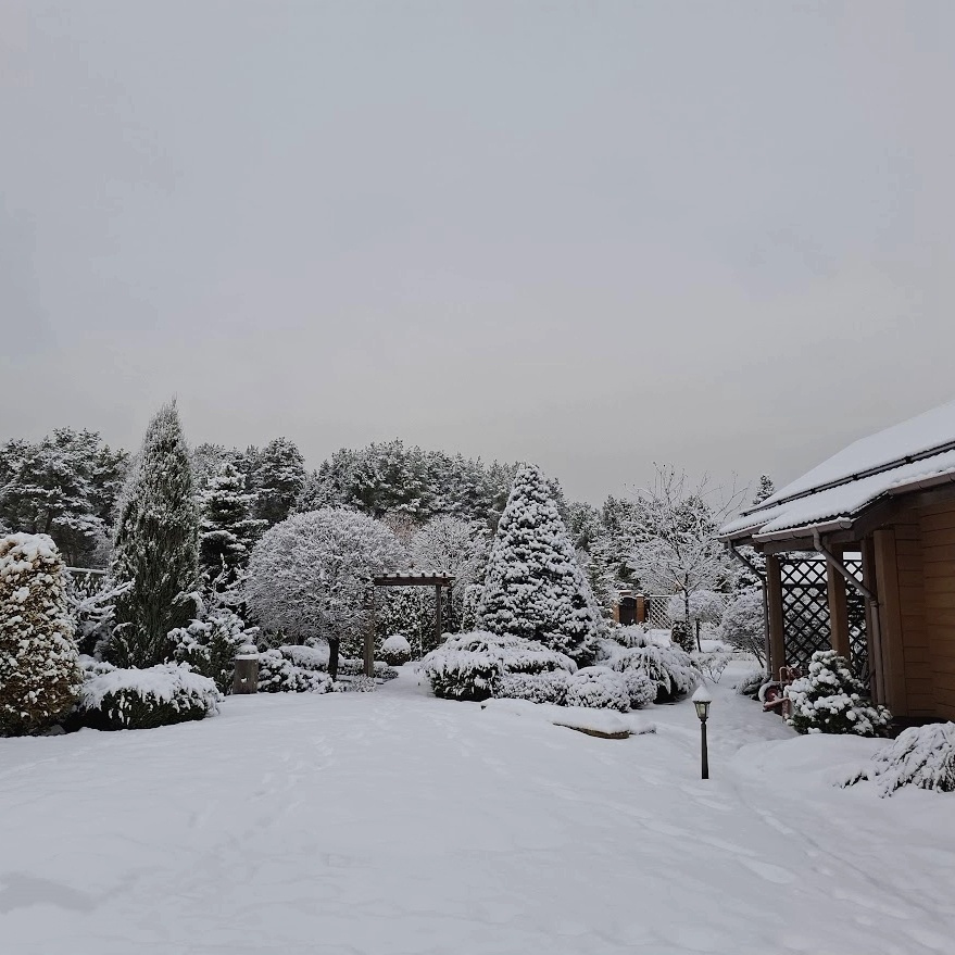 В саду сегодня