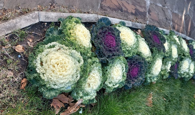 Фото: Оксана Котова