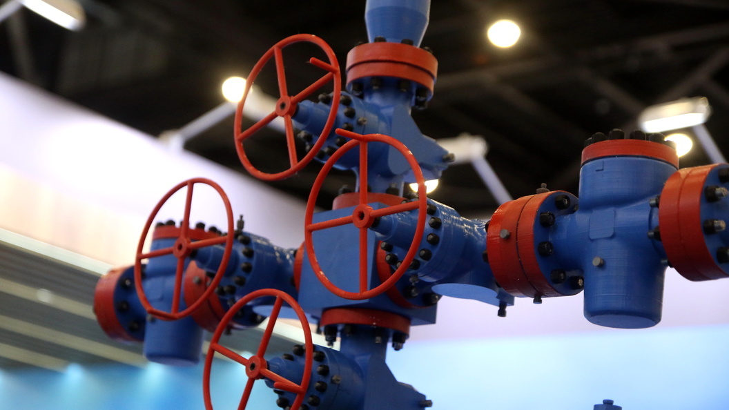    Maksim Konstantinov/Global Look Press/Globallookpress