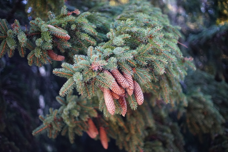 Фото: Baltphoto/Николай Овсянников