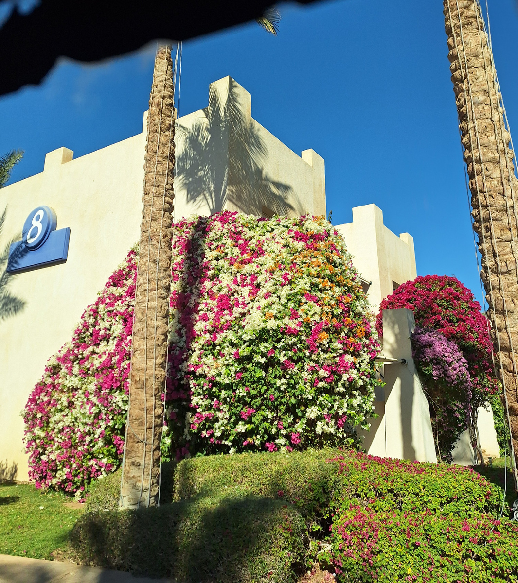 Трансфер по дороге в отель. Фото - собственность автора канала.