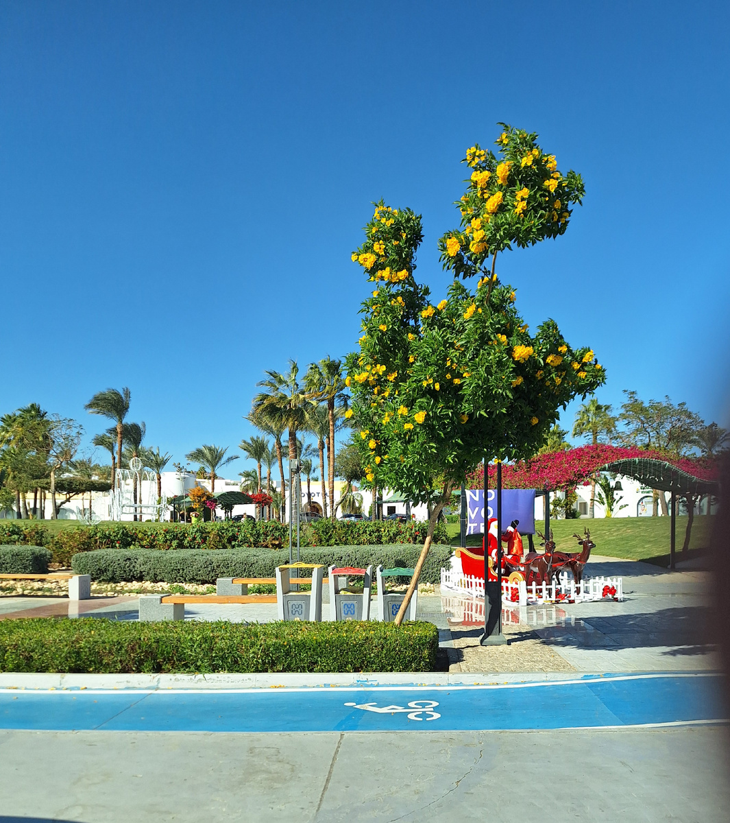 Трансфер в отель, вид вдоль дороги. Фото - собственность автора канала.