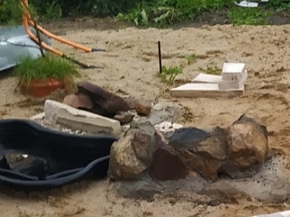 ствол сосны виден выше пруда